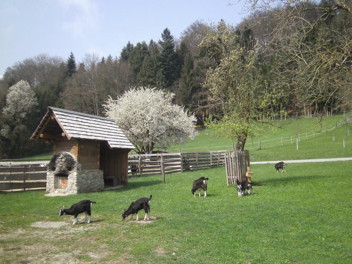 Bauernhof Kaspergut Villa Kirchberg bei Mattighofen Exterior photo